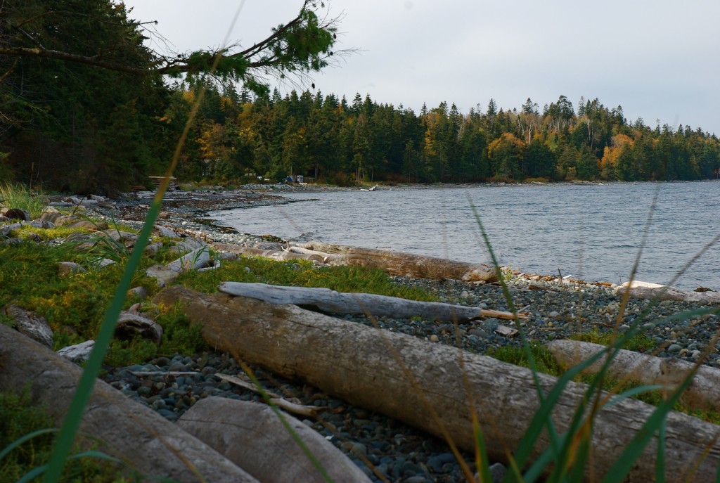 fall beach